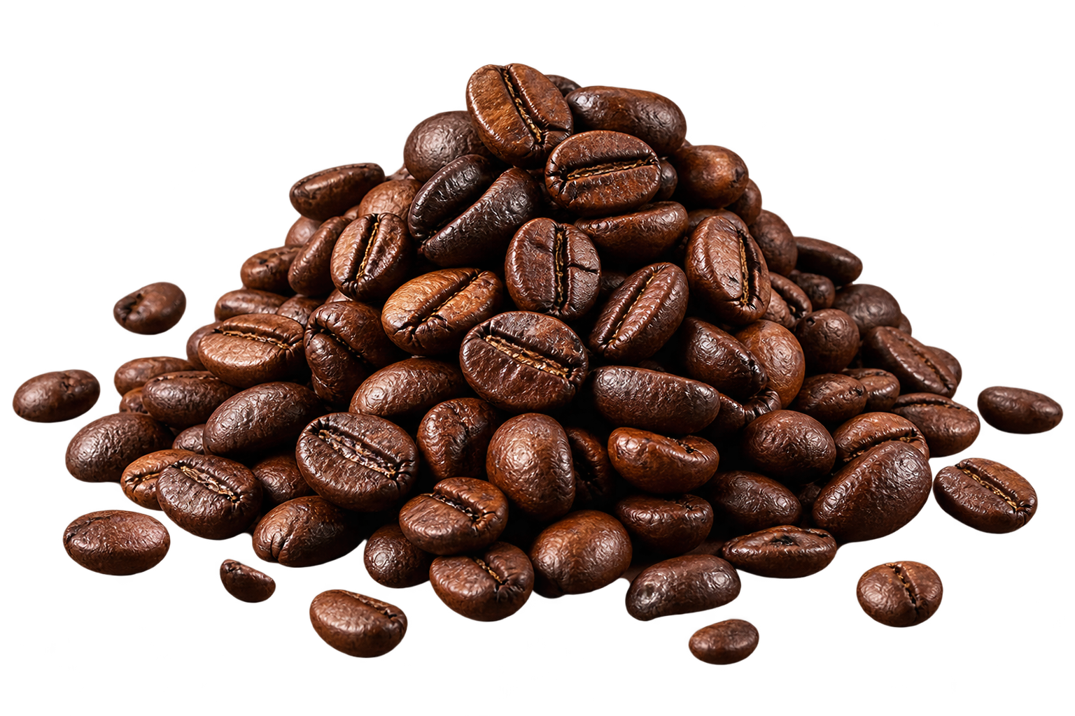 Biji kopi premium Fortis